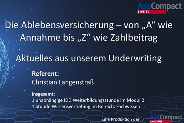 B2B News AssCompact