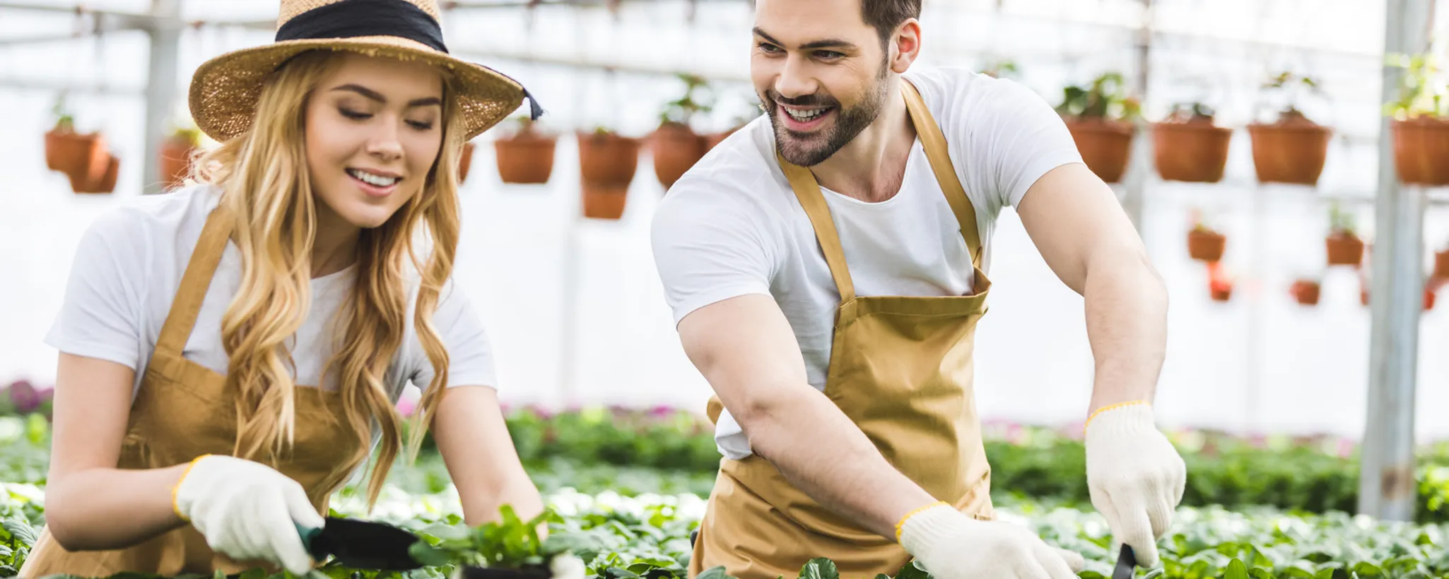 Arbeitskraft absichern - was leistet der Staat, warum privat vorsorgen