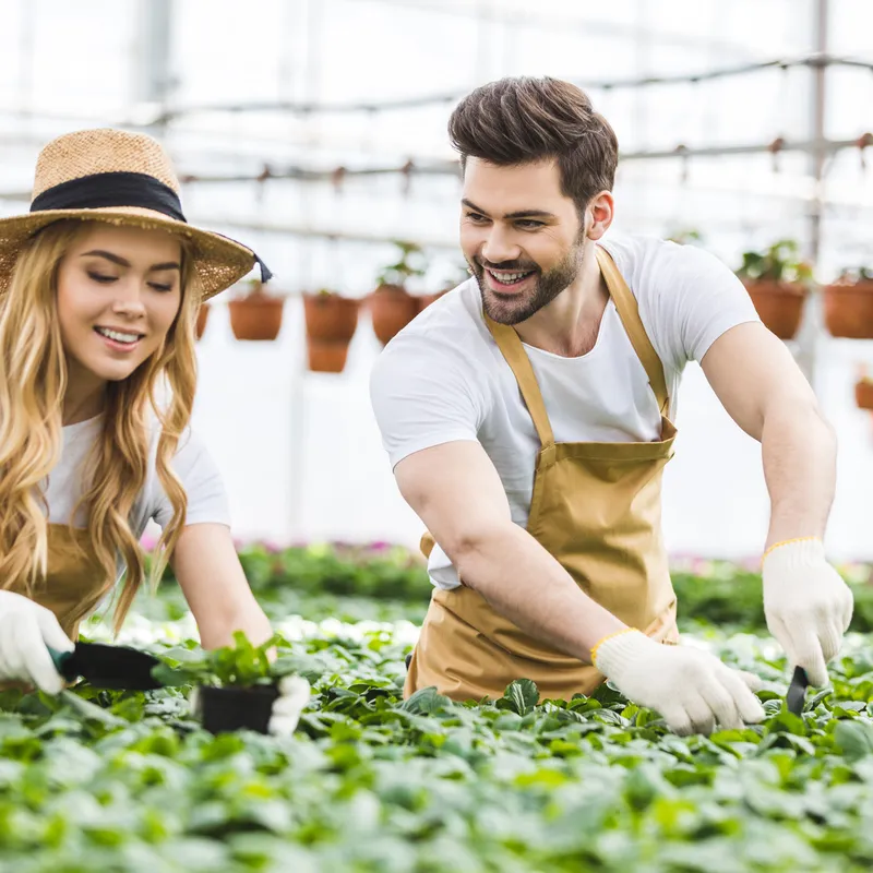 Arbeitskraft absichern – was der Staat leistet und warum eine private Absicherung sinnvoll ist