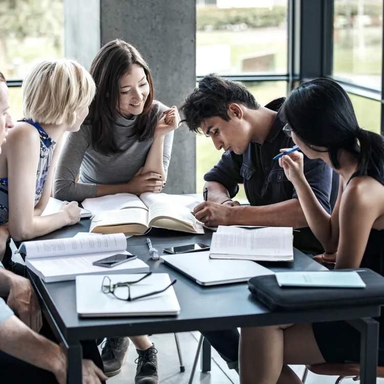 Eine Gruppe von Studierenden sitzt an einem Tisch und diskutiert angeregt über Inhalte ihres Versicherung-Studiums. Bücher und Notizen liegen verstreut, während sie sich auf das Versicherung-Studium konzentrieren.