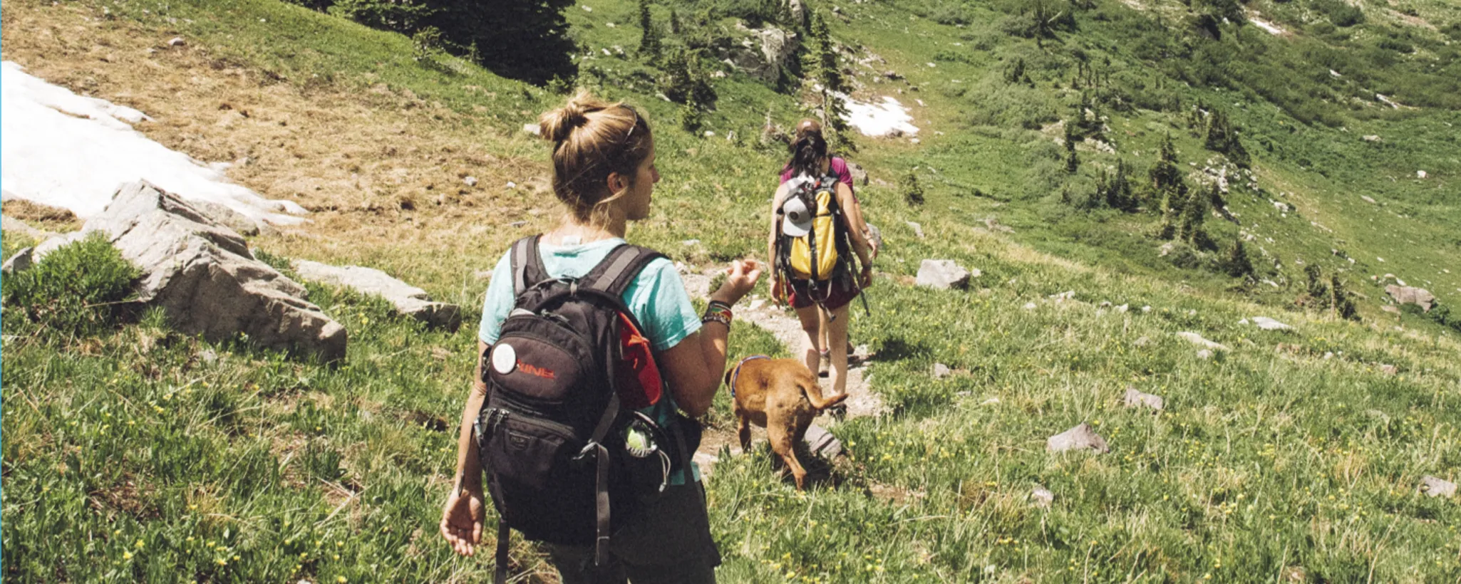 Zwei Frauen wandern mit einem Hund durch eine grüne Berglandschaft. Sie genießen eine berufliche Auszeit und tragen Rucksäcke, während sie einen schmalen Pfad entlanggehen.