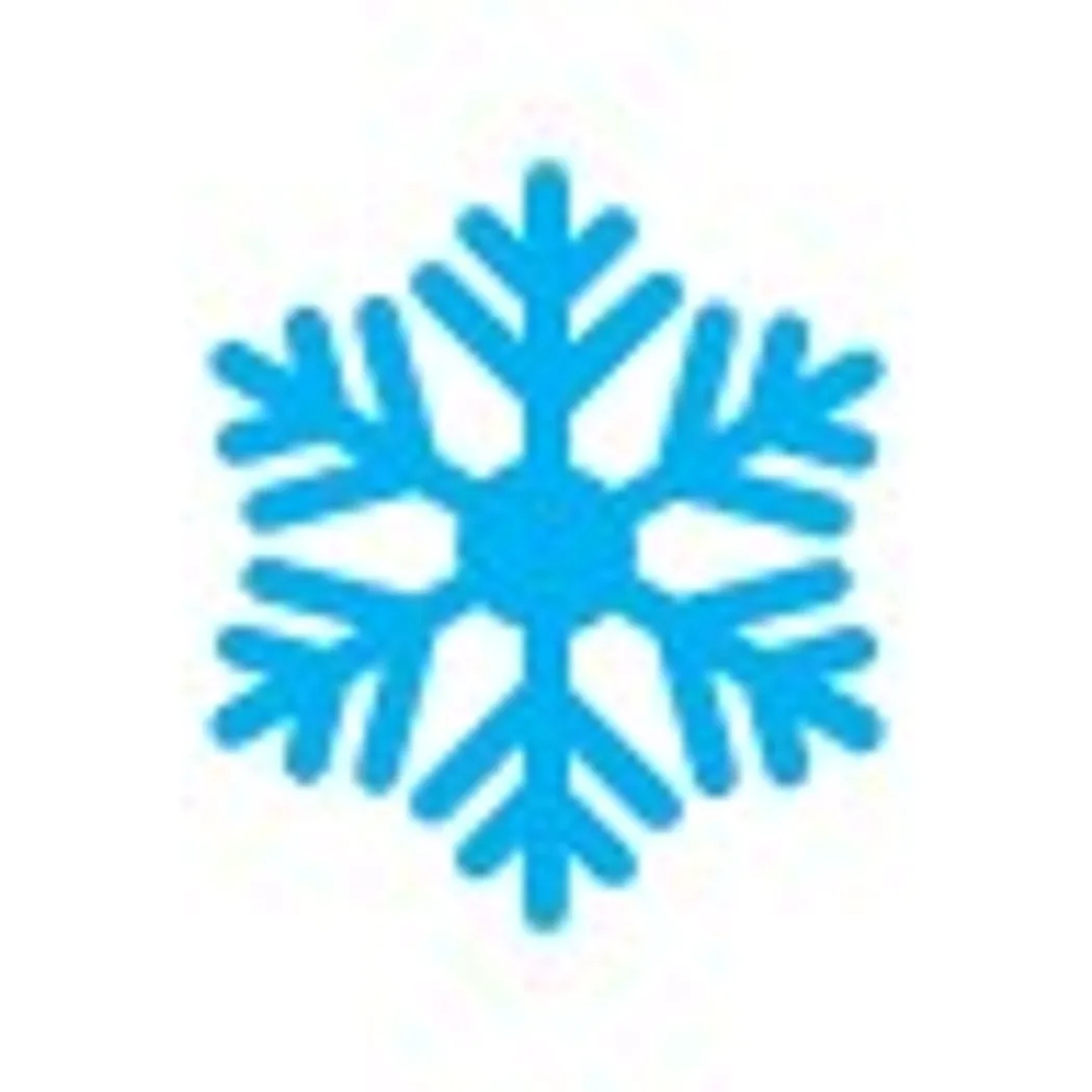 Winter Icon