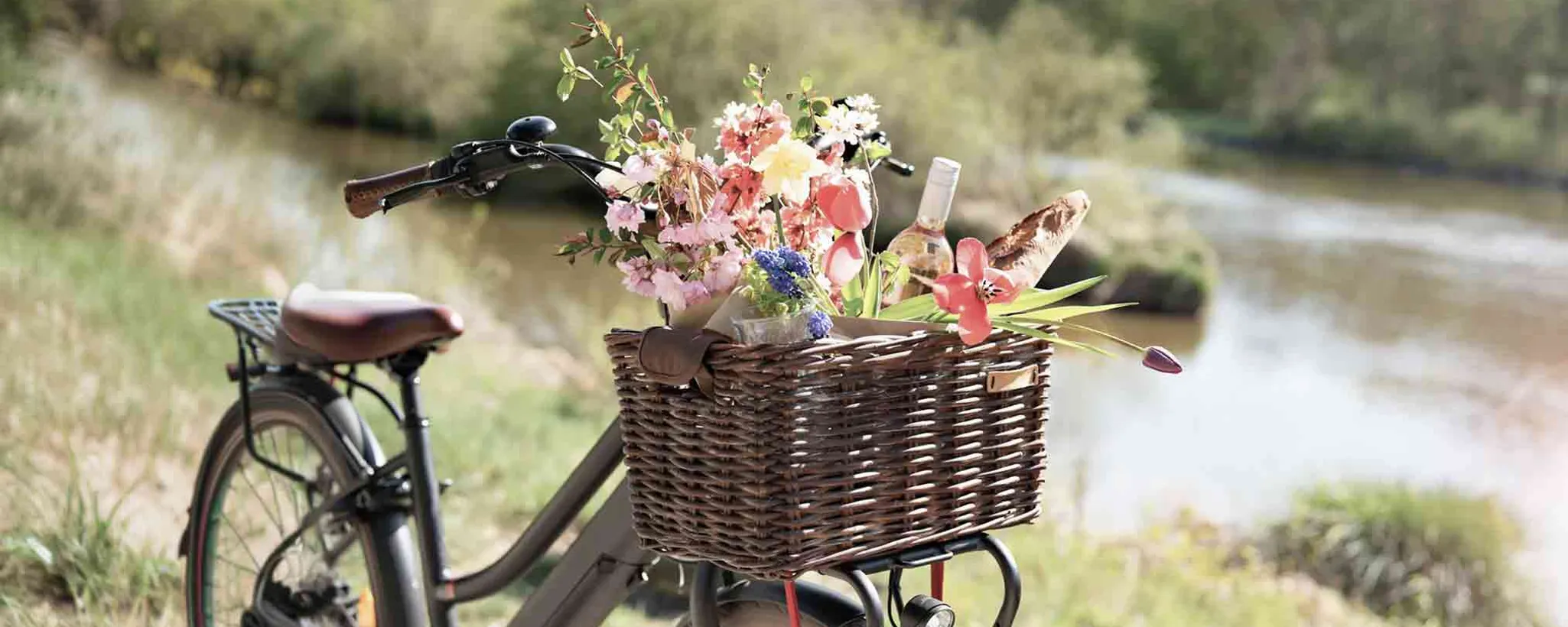 Ein Fahrrad mit einem Korb voller Blumen, Wein und Baguette, abgestellt auf einem grasigen Weg am 