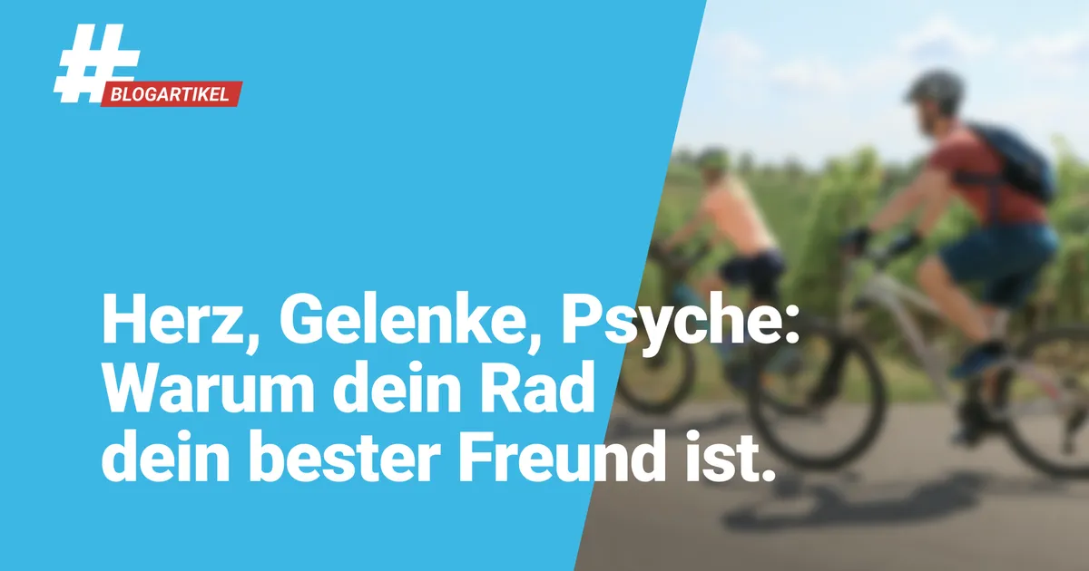 flixbus fahrradtasche Fahrrad Transporttasche,Schwere Beanspruchung 840D Oxford Flugzeug,Fahrrad Transporttasche Wasserdicht für 24-29 Zoll Mountainbike Faltrad MTB Rennrad,Klapprad Fahrradtransporttasche Sport & Freizeit Ebike Model:BK20 Rezzak Cityrad 26