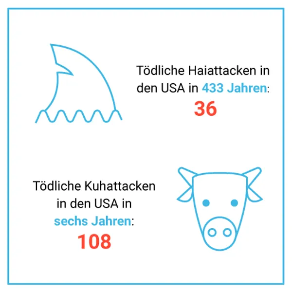 Tödliche Hai- vs. Kuhattacken