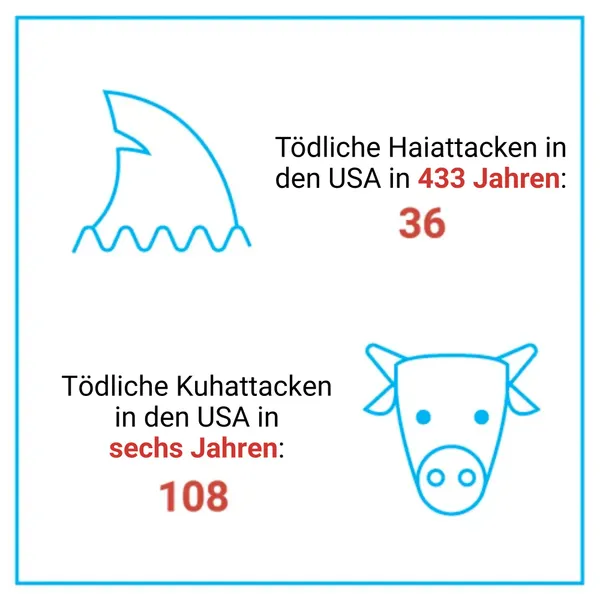 Das Bild vergleicht tödliche Haiattacken und Kuhattacken in den USA. Es zeigt, dass es in 433 Jahren 36 tödliche Haiattacken gab, während in nur sechs Jahren 108 tödliche Kuhattacken verzeichnet wurden. Links ist eine stilisierte Haiflosse, rechts ein Kuhkopf abgebildet.