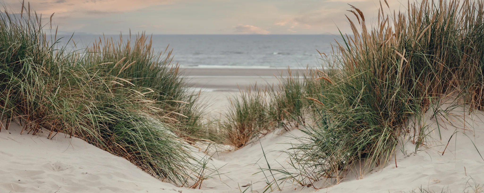 Zwischen hohen Dünen aus feinem Sand öffnet sich ein Blick auf das Meer, ideal für ein Ferienhaus, das als Altersvorsorge dienen könnte, mit beruhigender Naturkulisse.