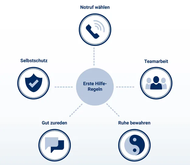 Eine Grafik mit fünf Erste Hilfe-Regeln, die kreisförmig um einen zentralen Punkt angeordnet sind: Notruf wählen, Selbstschutz, Teamarbeit, gut zureden und Ruhe bewahren.