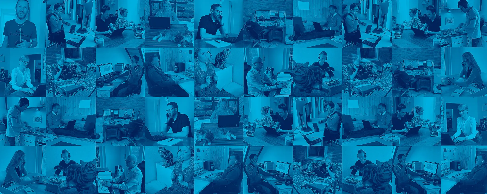 Die blau getönte Collage zeigt eine vielfältige Sammlung von Bildern, auf denen verschiedene Personen in ihren häuslichen Arbeitsumgebungen zu sehen sind. Sie sind mit Computern und Laptops beschäftigt und gehen ihren Tätigkeiten von zuhause aus nach. In einigen Bildern sind Haustiere, insbesondere Katzen, zu erkennen, die gemütlich die Arbeitsplätze ihrer Besitzer teilen und für eine heimelige Atmosphäre sorgen. Die Szenen vermitteln ein Gefühl von Produktivität und Komfort, während die natürliche Beleuchtung durch Fenster eine angenehme Arbeitsumgebung schafft.